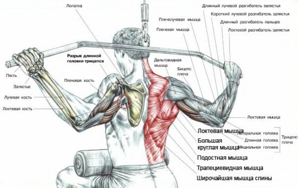 Олег Горшунов | Санкт-Петербург