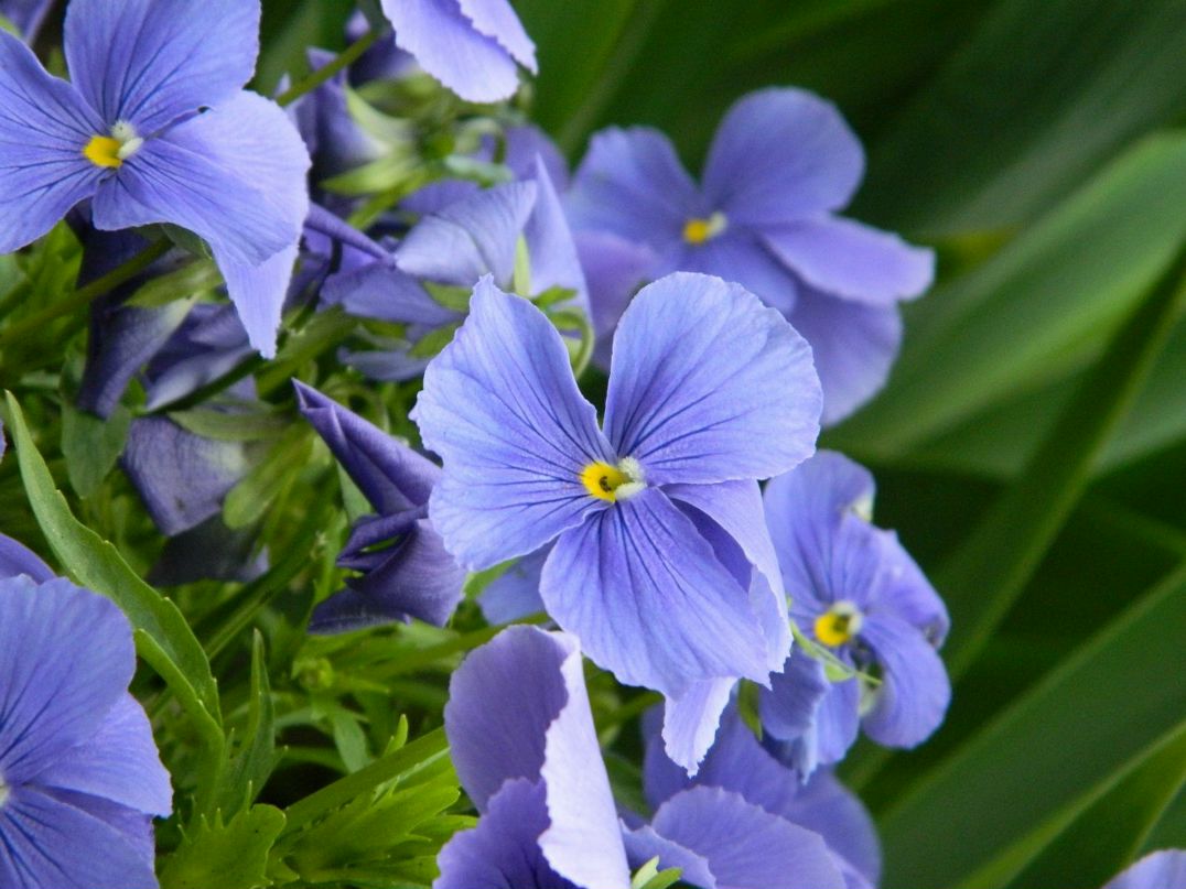 Серёжа Ермолов | Ульяновск