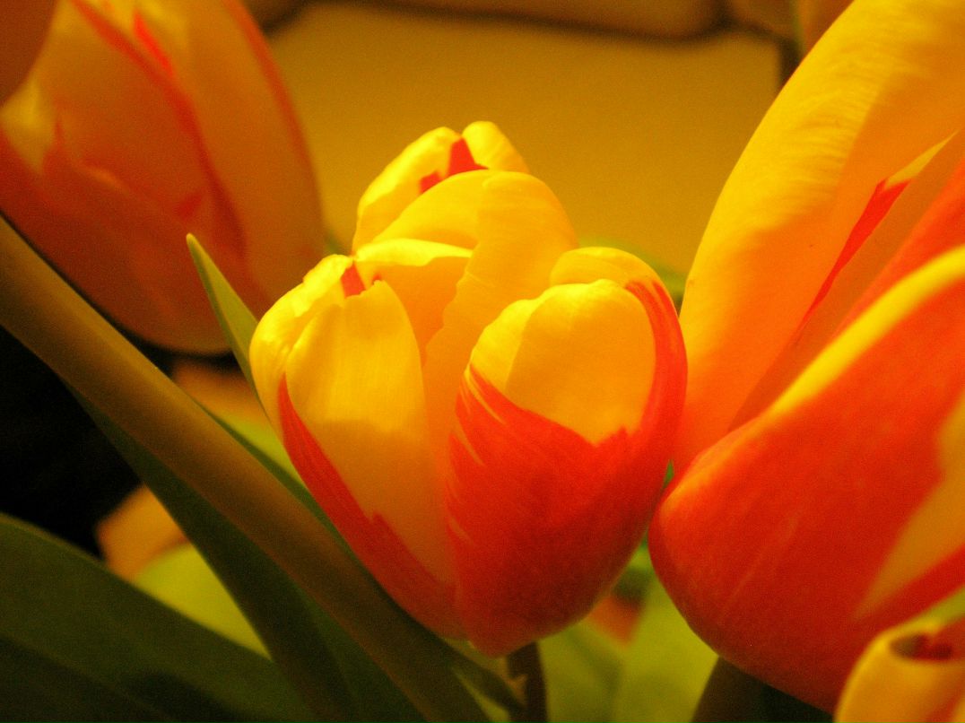 Мария Фролова | Москва