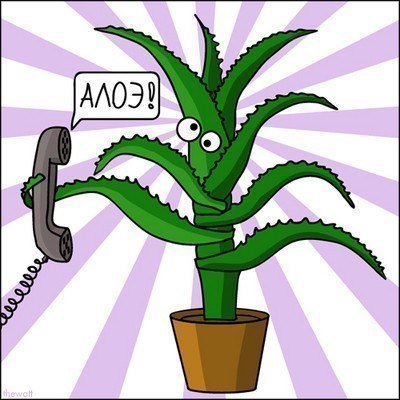 Анатолий Квитковский | Новосибирск