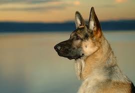 Олеся Дручинская | Москва