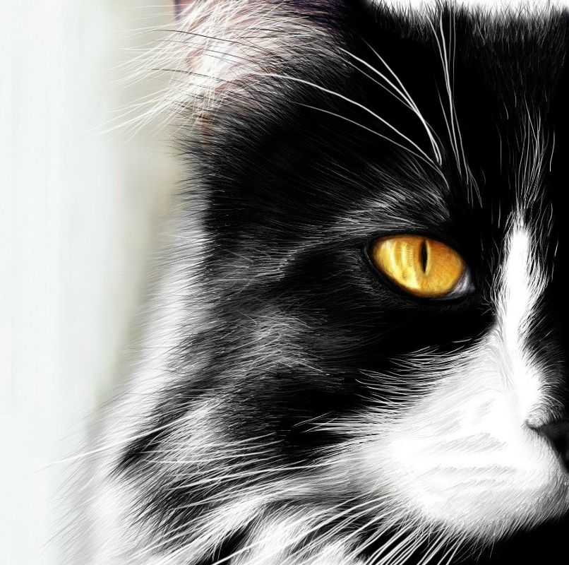 Андрей Евенко | Киев