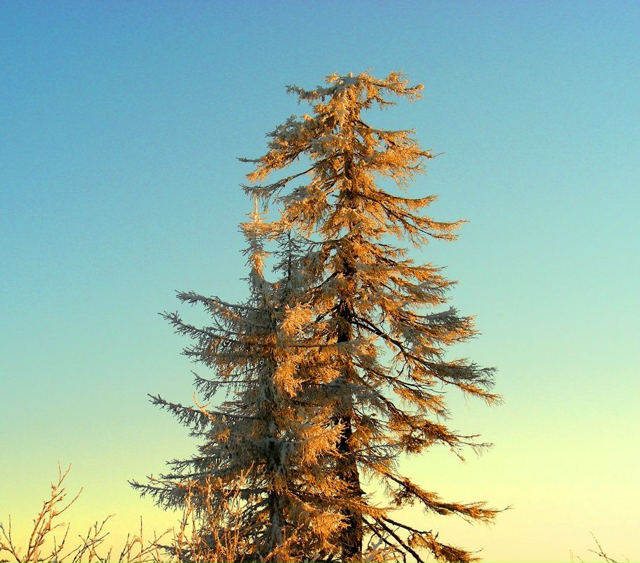 Владимир Бычин | Красновишерск