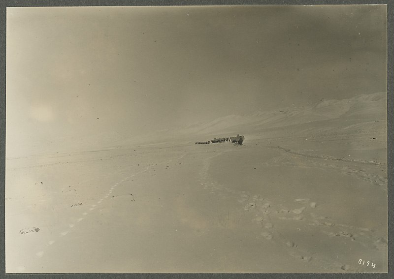 Анна Ярмош | Москва