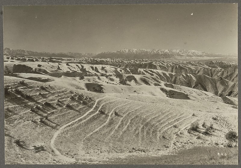 Анна Ярмош | Москва