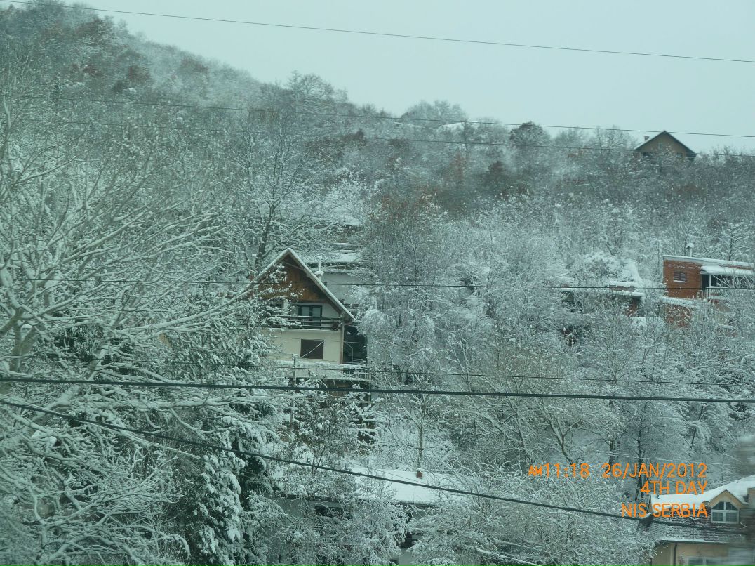 Марина Сойфер | Modi'in-Maccabim-Re'ut