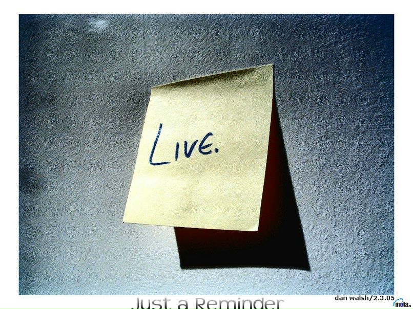 Елена Туйбахтина Yennifer CC | Голицыно