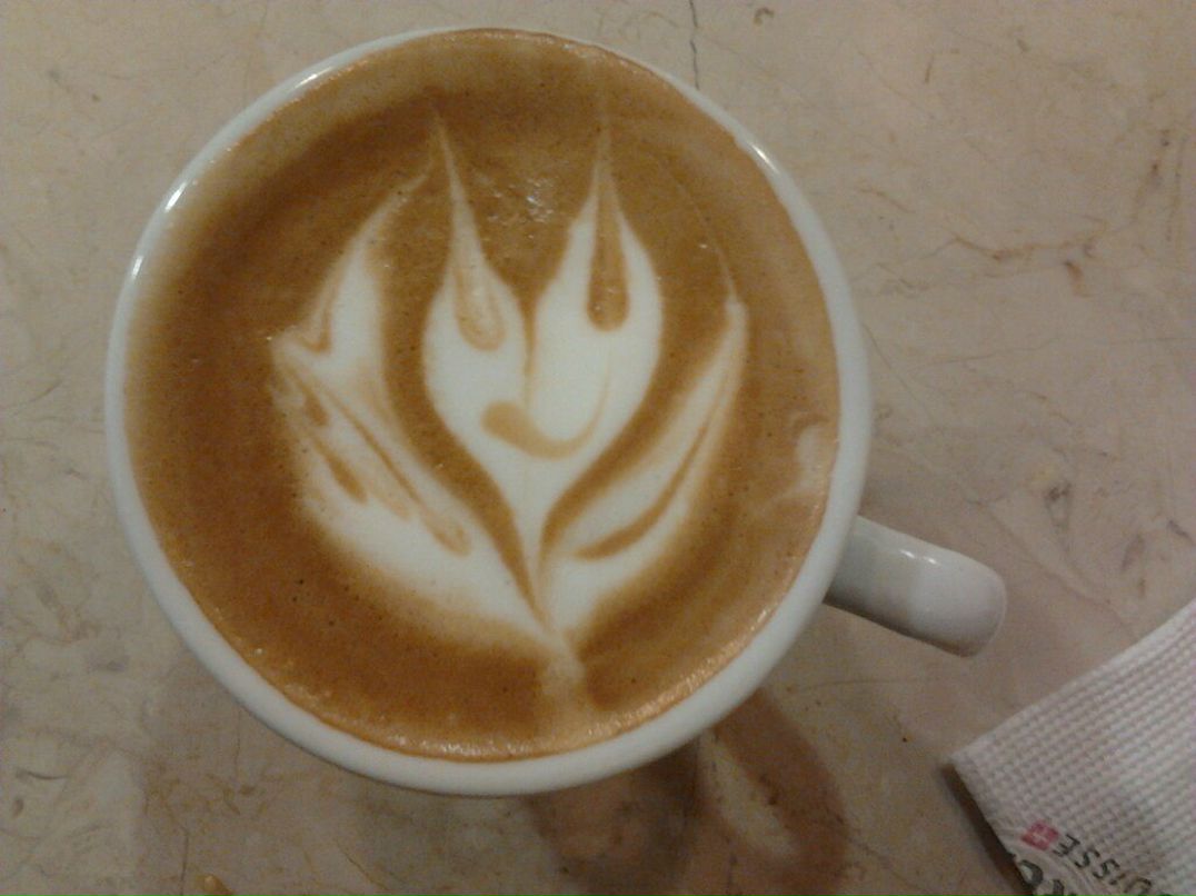 Дарья Заболотняя | Донецк