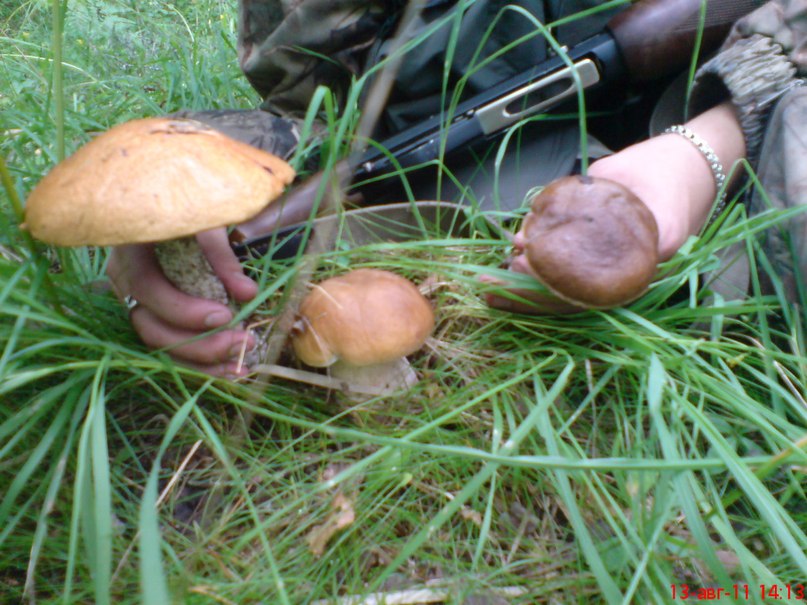 Иван Камынин | Санкт-Петербург