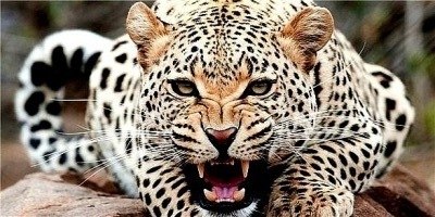 №35, Юлия Заикина №35, Юлия Заикина