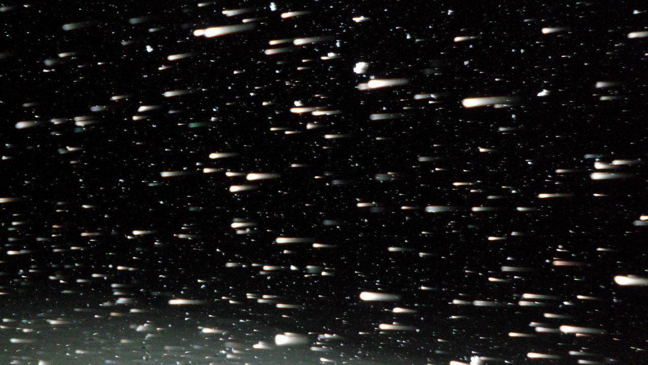 Владимир Воронин | Хлевное