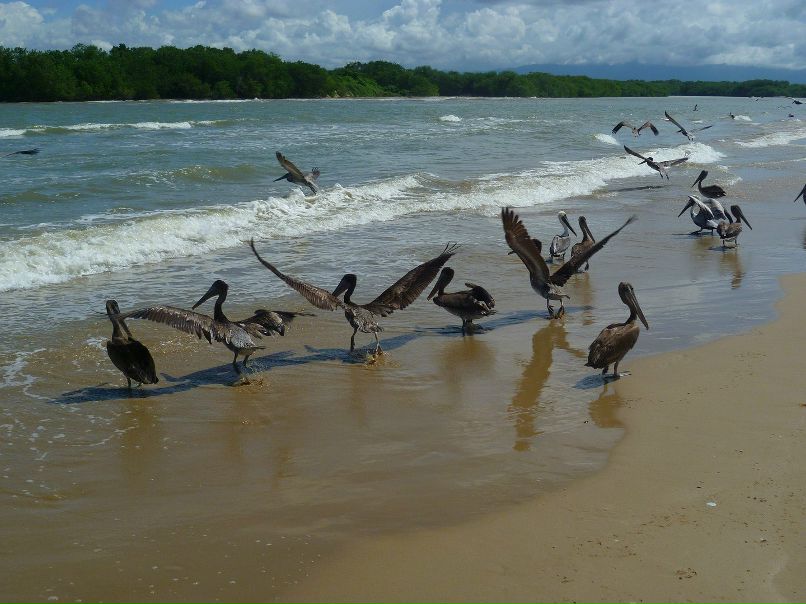 Галина Малютина | Николаев