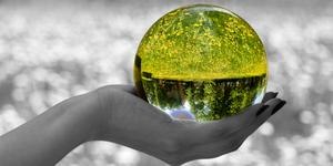 Елена Галузина | Великий Новгород