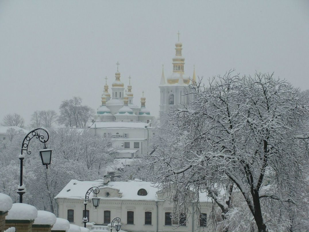 Юлия Кушнир | Киев