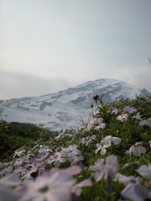 Rita Kireeva | Москва