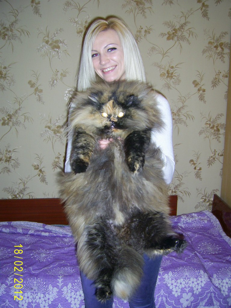 Елена Григоренко | Днепр (Днепропетровск)