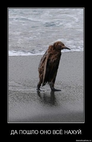 Лаврентий Федотов | Москва