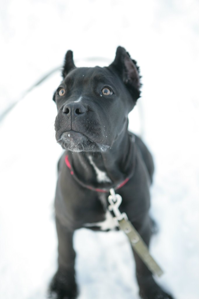 Юлия Габидуллина | Екатеринбург