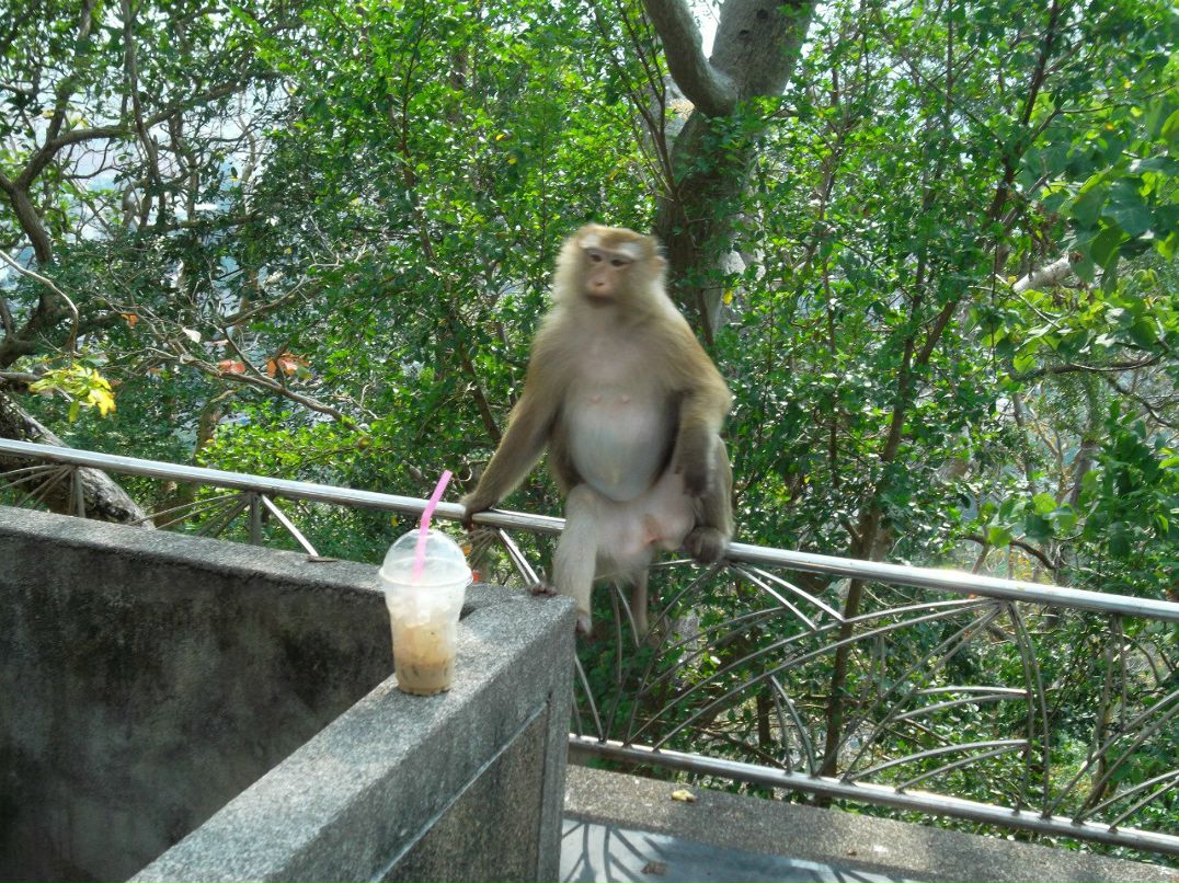 Ольга Иванова | Красноярск