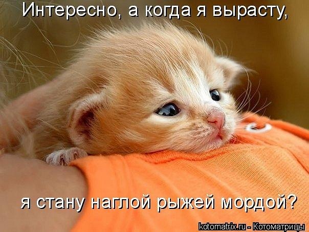 №125, Таисия Брызгалова, Нижний Новгород №125, Таисия Брызгалова, Нижний Новгород