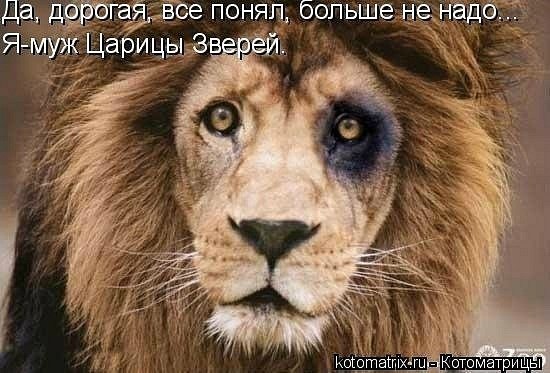 Евгений Александрович | Никольское