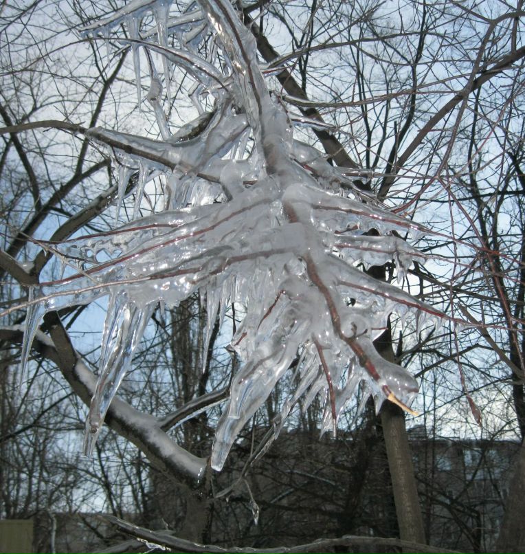 Николай Никульшин | Воронеж