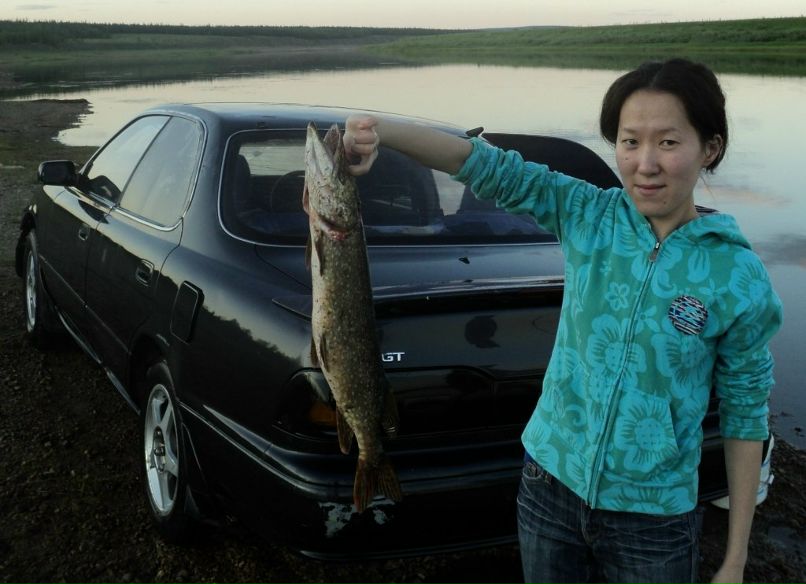 Александр Устинов | Мяндиги