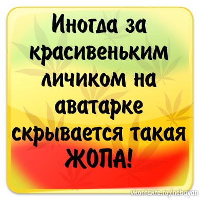 №100, Екатерина Зиброва, Бобров №100, Екатерина Зиброва, Бобров
