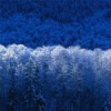Аватар: Владимир Кузнецов