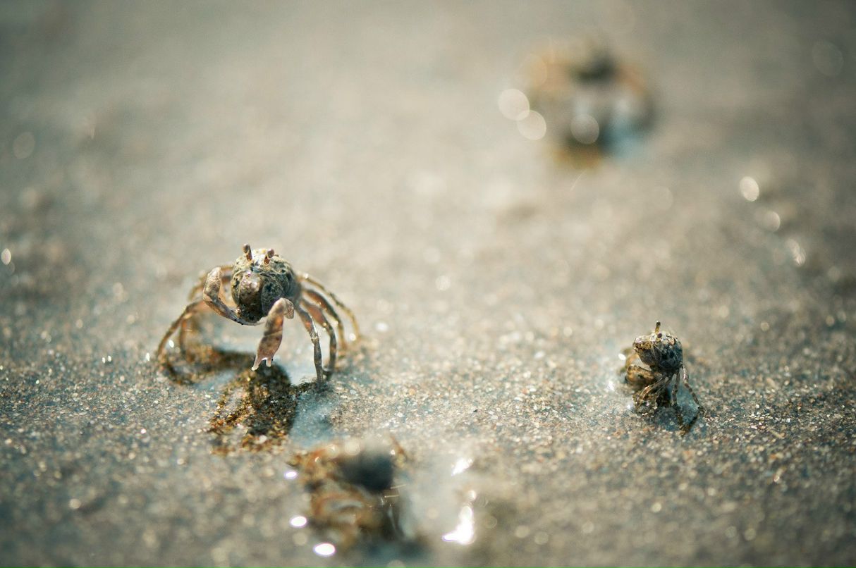 Алексей Дёмин | Москва