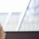 №28, Верушка Алексеева, Псков №28, Верушка Алексеева, Псков