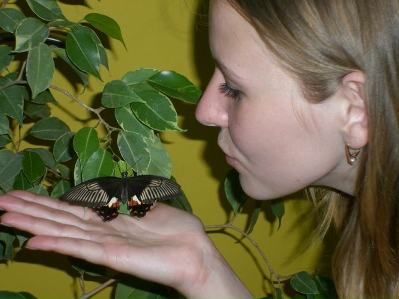 №97, Наталья Карпенко, 38 лет, Москва, Россия №97, Наталья Карпенко, 38 лет, Москва, Россия