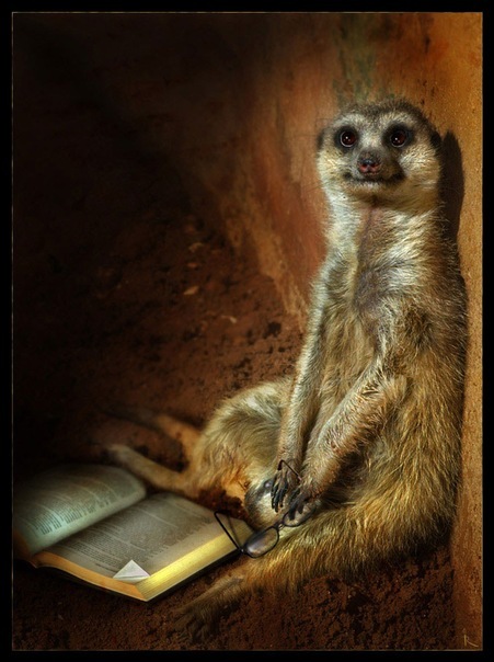 №4, Юлия Сняткова, Санкт-Петербург №4, Юлия Сняткова, Санкт-Петербург