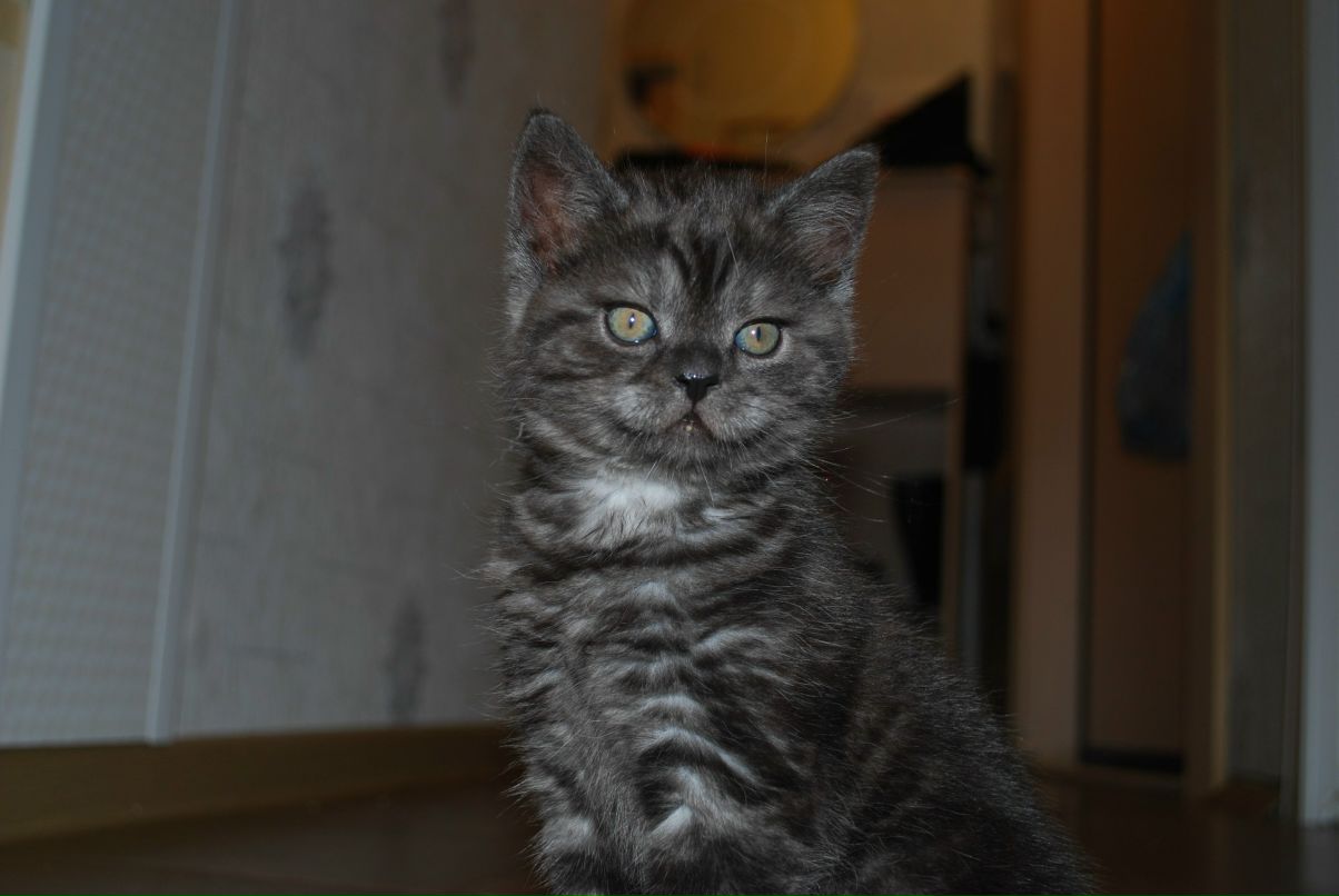 Аида Садыкова | 