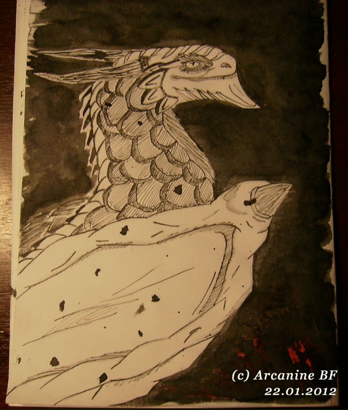 Алёнка Кольцова | Иваново