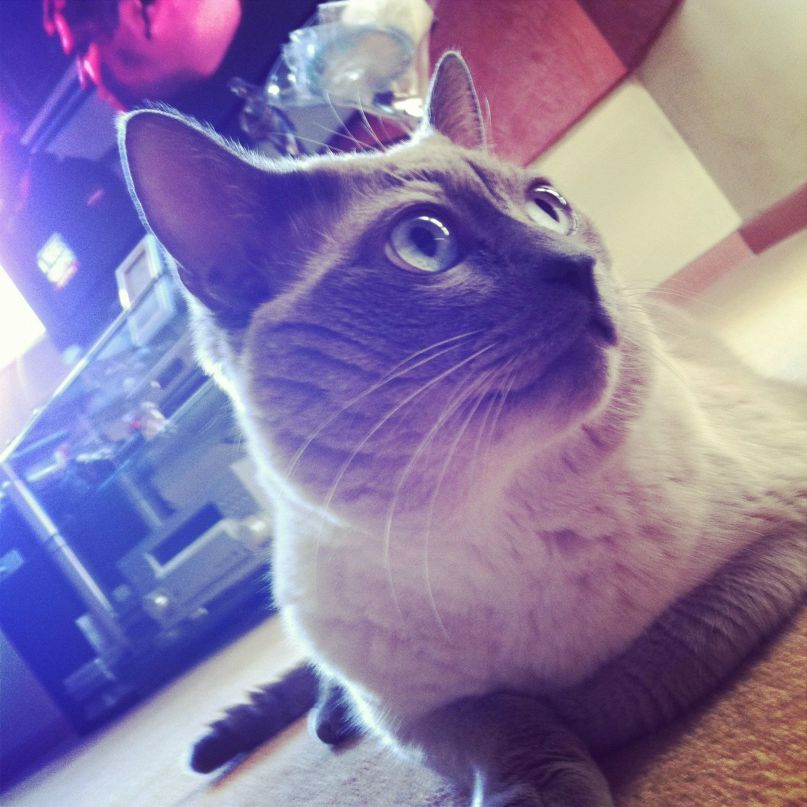 Саша Турбинская | Киев