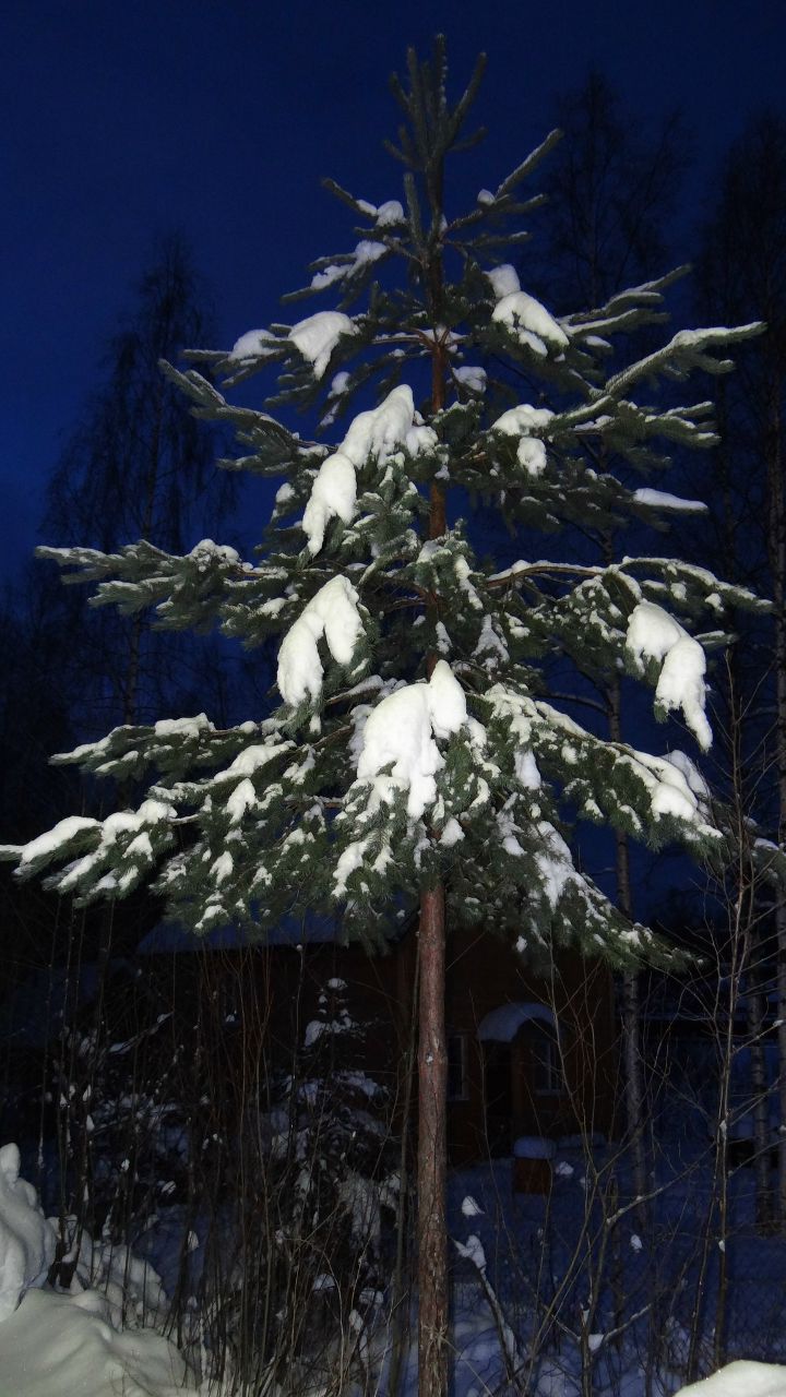 Дмитрий Трушкин | Санкт-Петербург