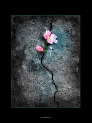 Моріка Борнак-Шегута | Хуст