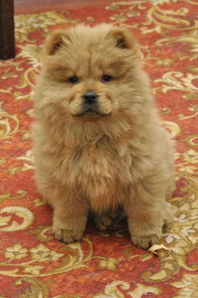 Дима Кравченко | Винница