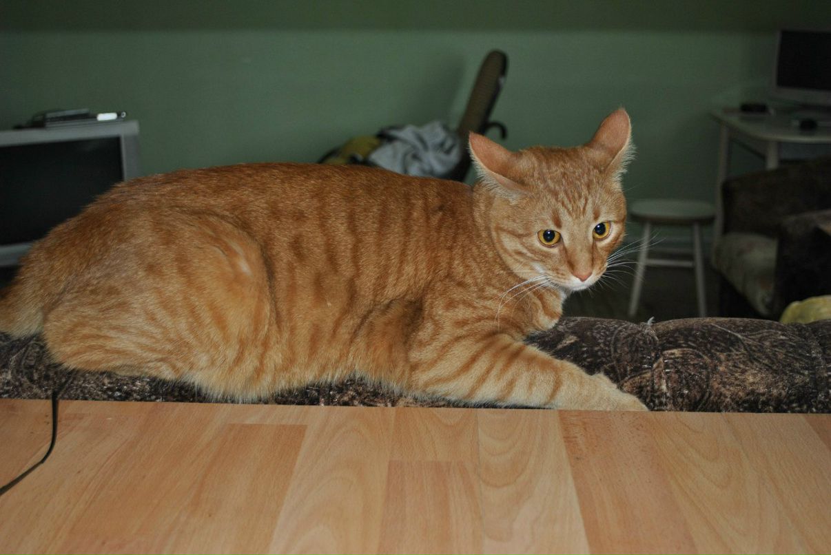 Мария Назарова | Ясногорск