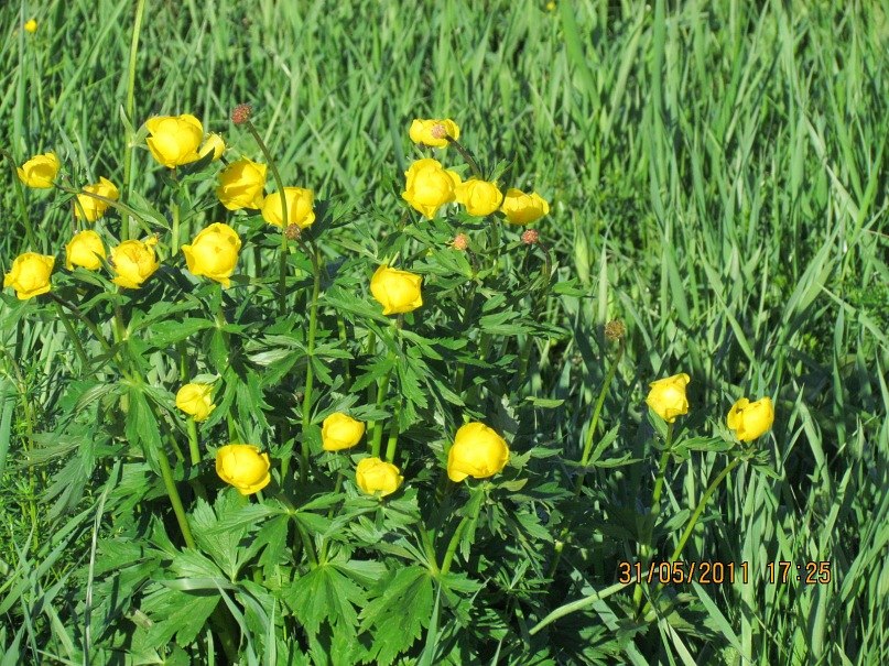 Ольга Маркелова | Санкт-Петербург