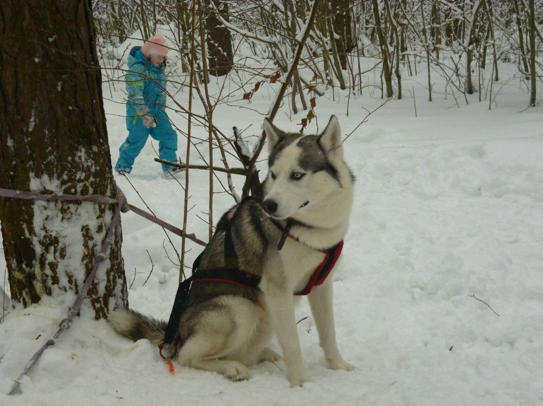 Анна Романенкова | Ногинск