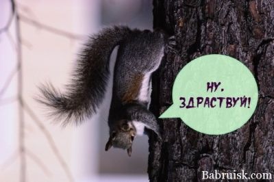 №1, Катерина Константинова, 36 лет, Краснодар №1, Катерина Константинова, 36 лет, Краснодар