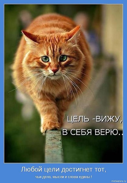 №13, Елена Андреева, Новосибирск №13, Елена Андреева, Новосибирск