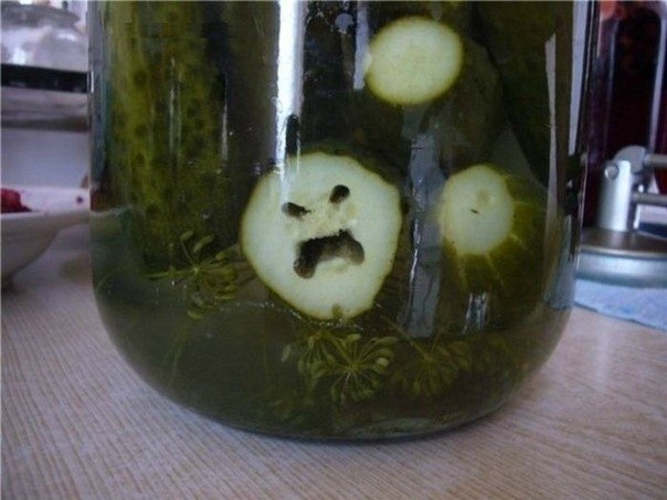 Сашок Фил | Москва