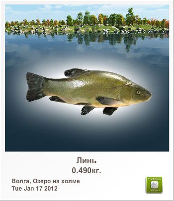 Петр Никитин | 