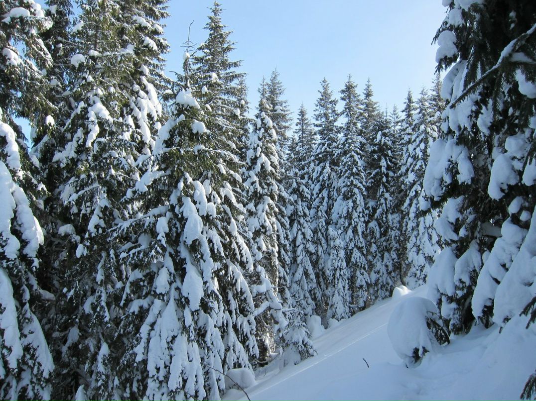 Ваня Козак | Киев