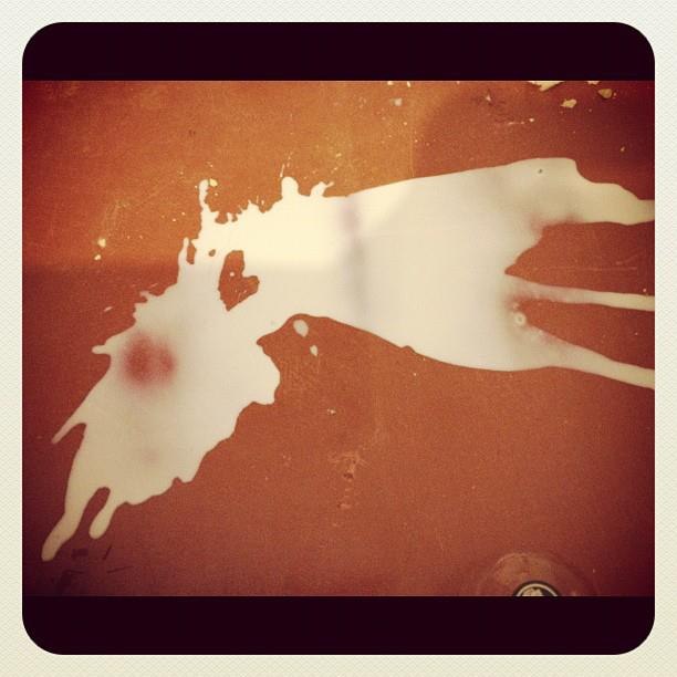 Мария Царинник | Харьков