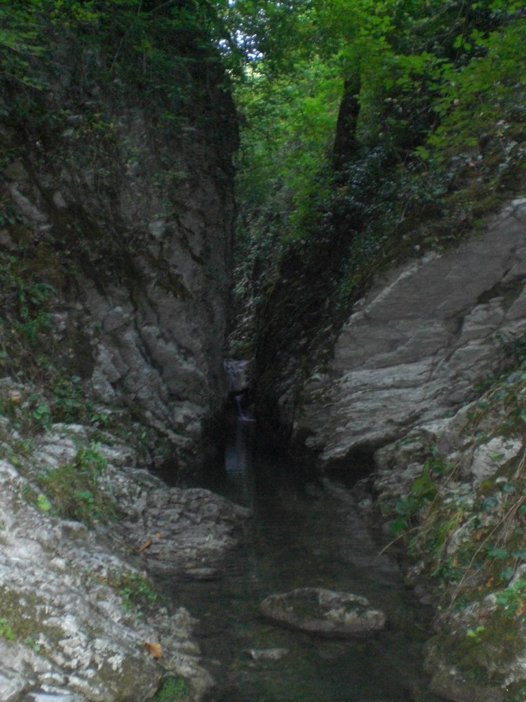 Андрей Cухов | Ульяновск
