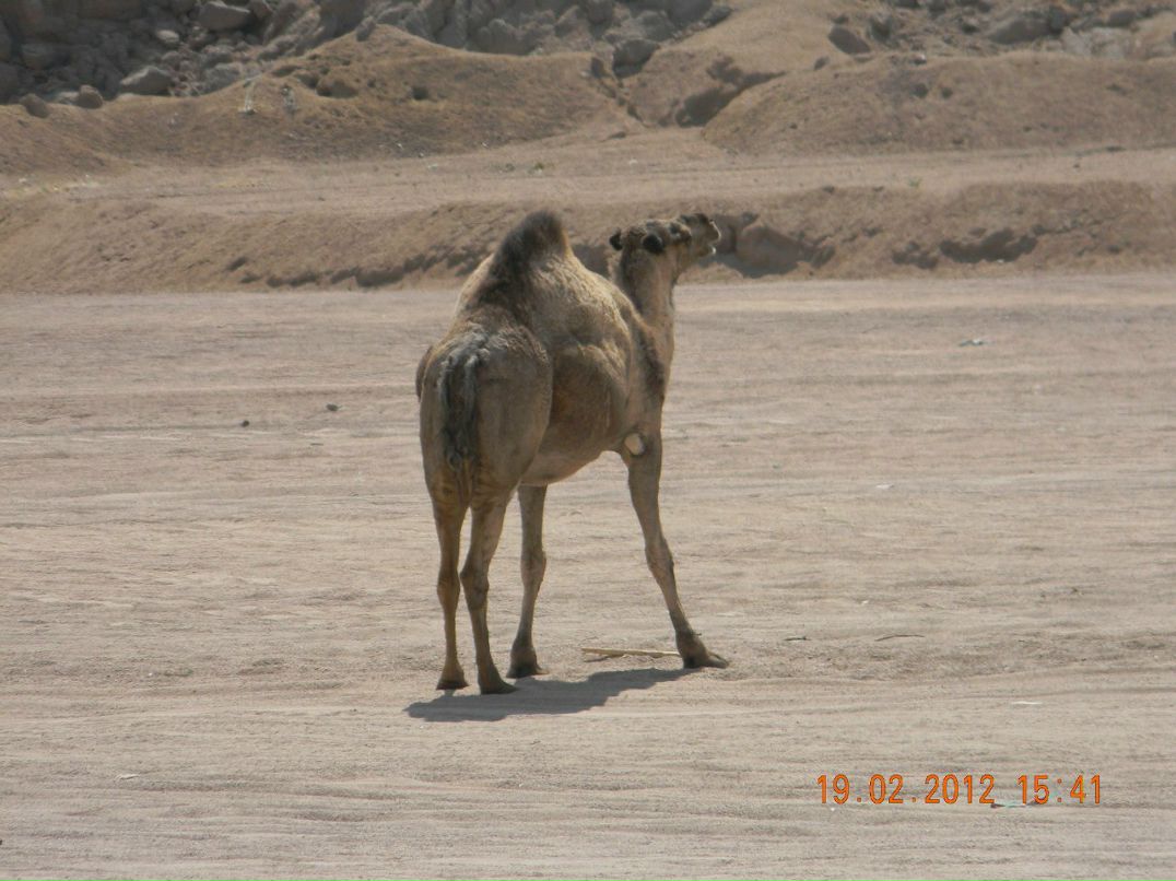Костя Гоголев | Пермь